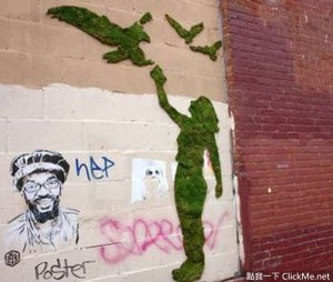 現在《苔蘚塗鴉》可是最新的街頭創作風潮，不知道的你就落伍了！
