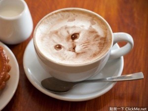 一秒萌哭你的《貓咪拉花咖啡》，如果是真的該從哪裡開始喝呢？