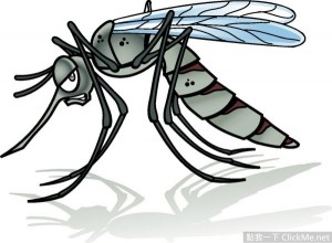 蚊子最討厭的１２種天然味道！夏日大作戰開始！